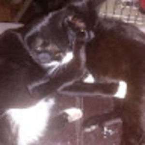 Meet your Posher, Ali